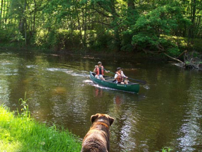 Dog watching kids on canoe