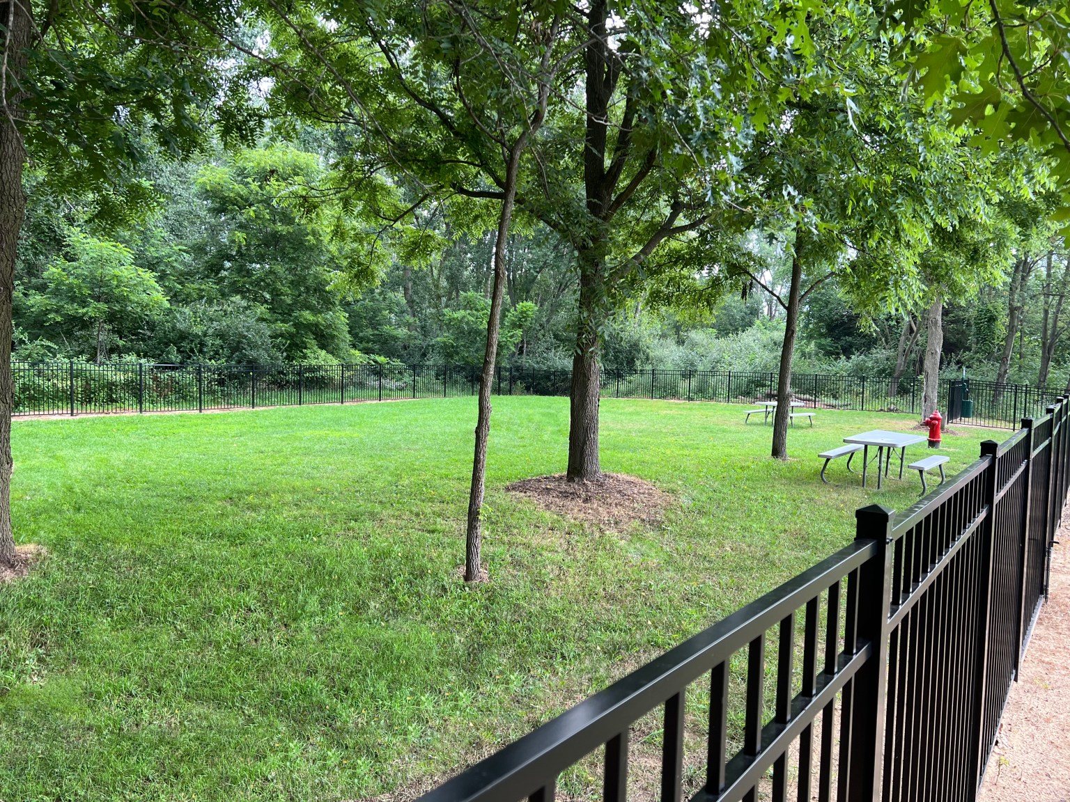 Dog park at Walnut Hills Family Campground