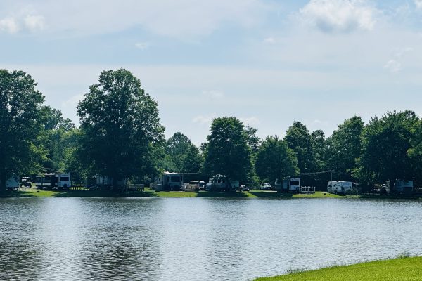 Picture of the lake at Ridge Ranch Campground with big trees in the background.