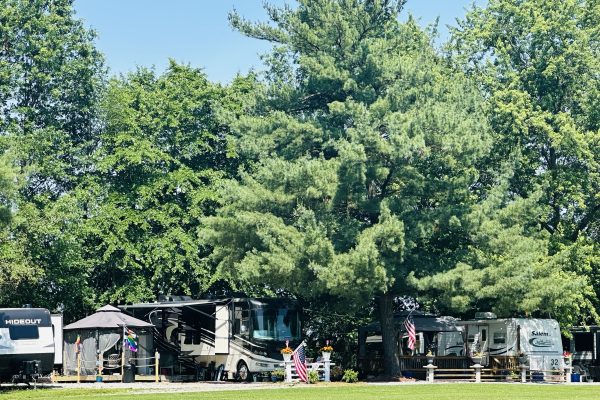 Seasonal campsite area covered with trees at Ridge Ranch Campground with green grass field in front.