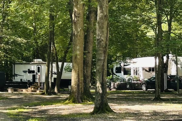 Heavily treed seasonal site area at Ridge Ranch Campground