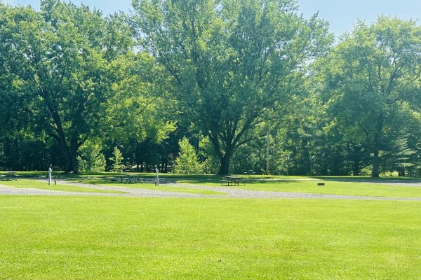 Ridge Ranch Campground pull through site area with lots of green grass and trees