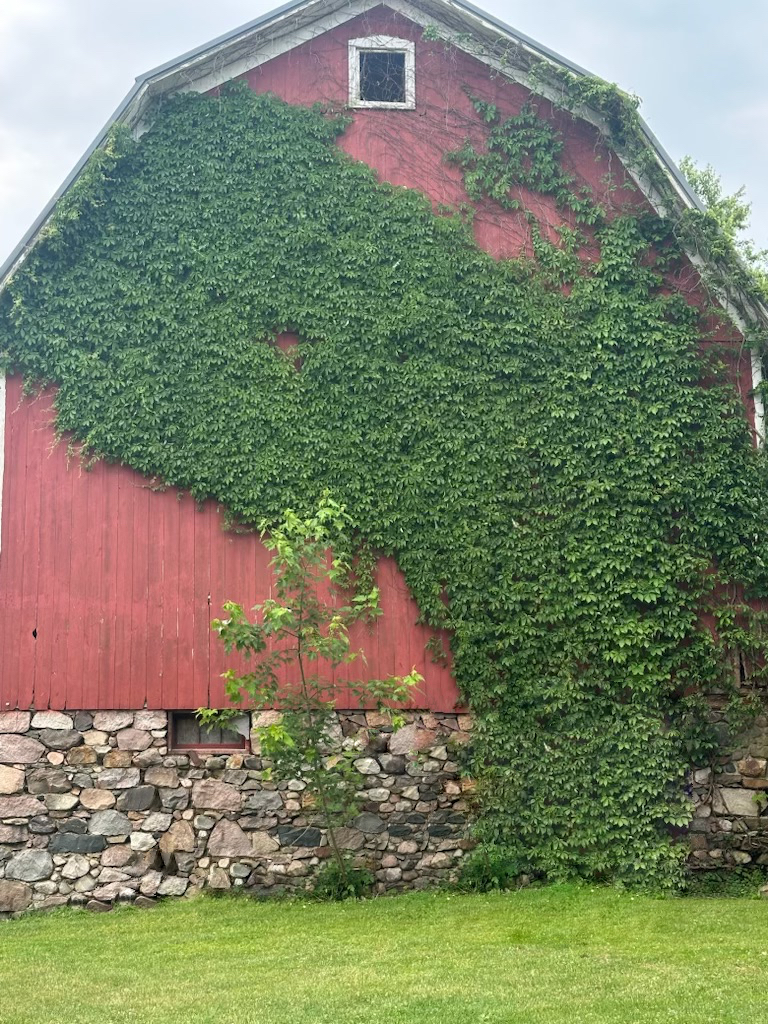 Classic Barn building at The Oaks Campground with vines growing up the side
