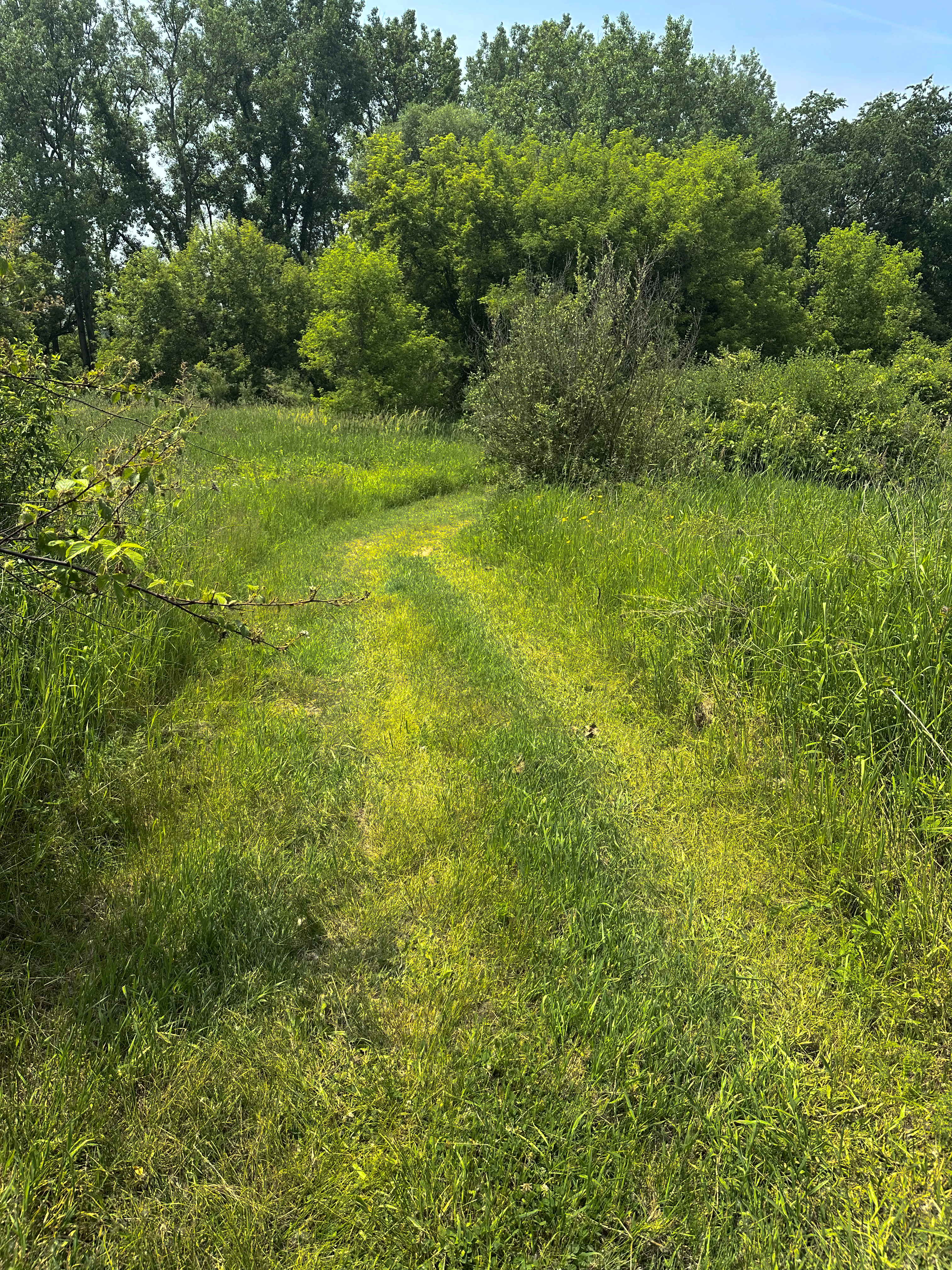 Grassy area riding trail at The Oaks Campground