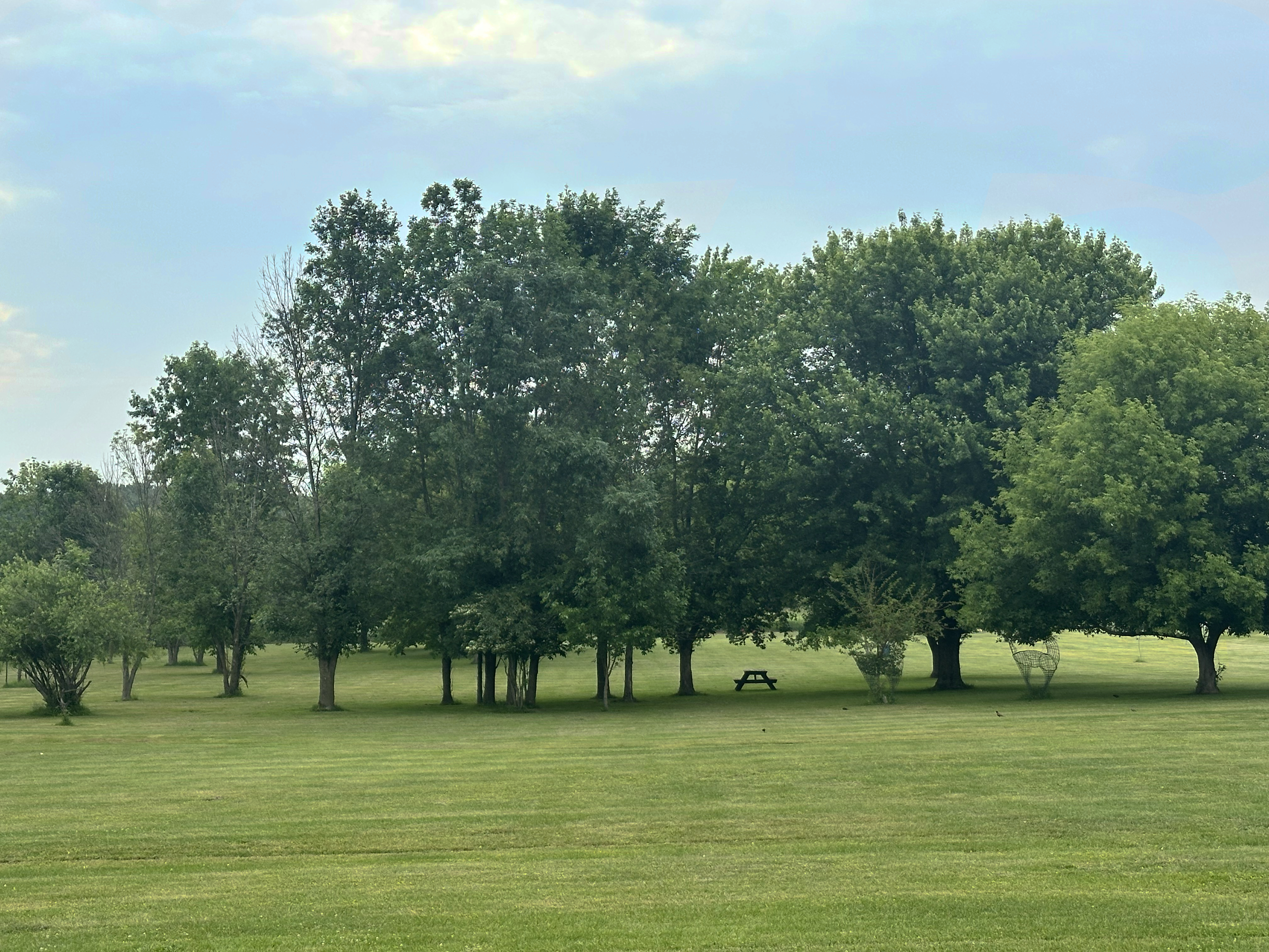 Tent camping area at The Oaks campground with large field of grass and trees in the background.