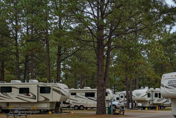 Scenic view of a well-maintained RV park with RVs under trees, representing the RV park selling process