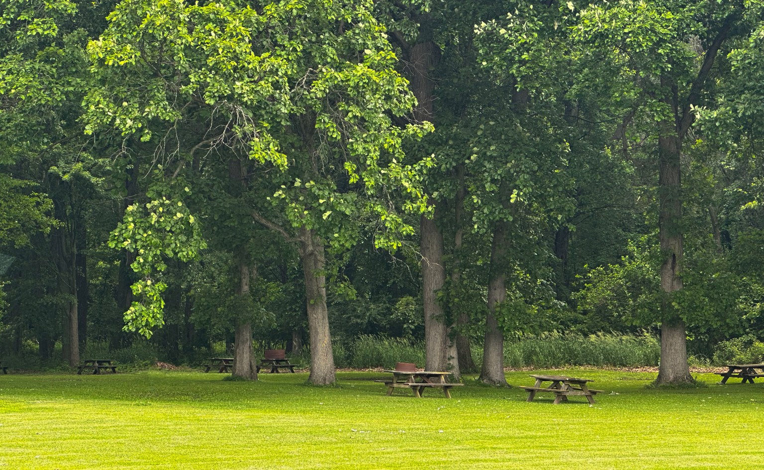 Tent camping area at The Oaks Campground