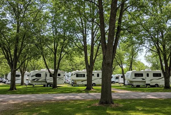 A picturesque campground with RVs and lush greenery, representing the market worth of campgrounds and RV parks